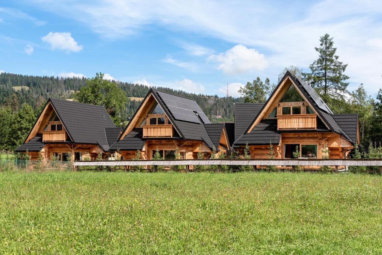 Sniezna Dolina - Sobiczkowa Bor Luxury Chalets Kościelisko Kültér fotó