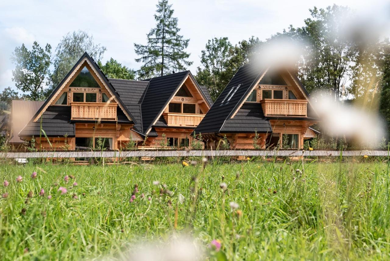 Sniezna Dolina - Sobiczkowa Bor Luxury Chalets Kościelisko Kültér fotó